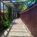 Casa tip duplex,  curte libera 250mp, Mogosoaia